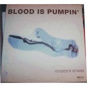 (23685) Voodoo & Serano ‎– Blood Is Pumpin