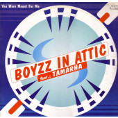 (RIV556) Boyzz In Attic Feat. Tamarha ‎– You Were Meant For Me